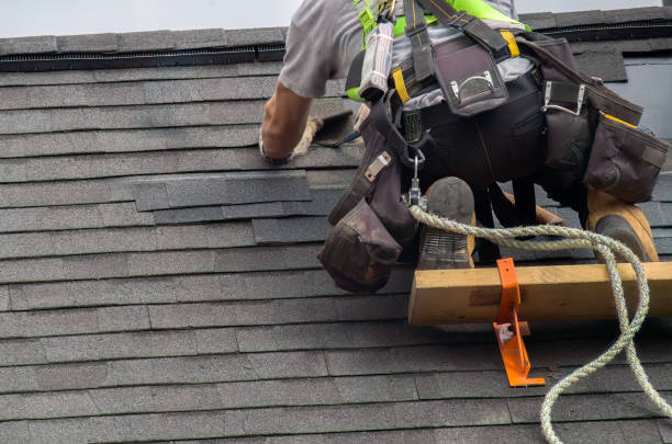 Best Roof Moss and Algae Removal  in Vilge St George, LA